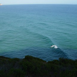 Surftrips, Malibu - Escola de Surf, Gaia, Porto