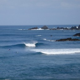 Surftrips, Malibu - Escola de Surf, Gaia, Porto